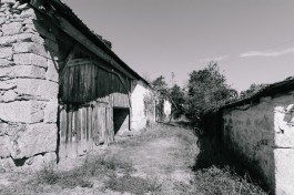 NUNO GRAÇA MOURA